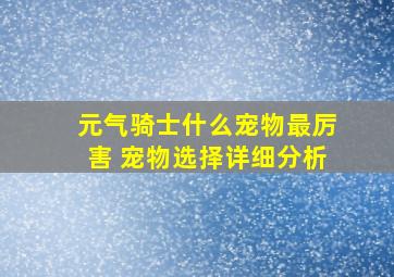 元气骑士什么宠物最厉害 宠物选择详细分析